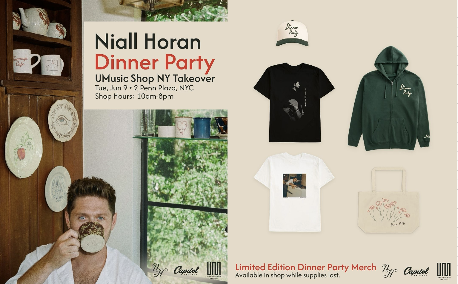 NY Throws the Perfect Party for Niall Horan's Dinner Party